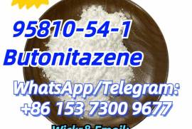 Butonitazene 95810-54-1