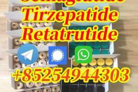 Semaglutide 910463-68-2;Tirzepatide 2023788-19-2; 