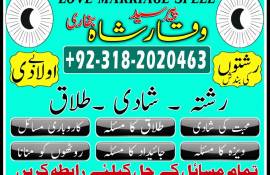 Black magic specialist amil baba turkey amil baba 