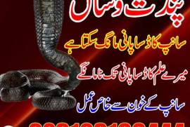 Online Black magic Amilbab in pakistan 03103166444