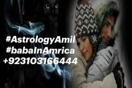 Powerful black magic specialist 0310316644 