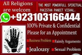 Powerful black magic specialist 0310316644 