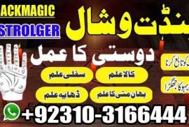 Powerful black magic specialist 0310316644 