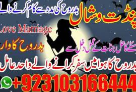 Powerful black magic specialist 0310316644 