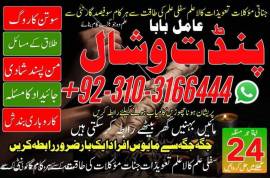 Powerful black magic specialist 0310316644 