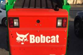 bobcat