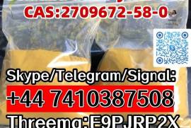 Skype/Telegram/Signal: +44 7410387508 Threema:E9PJ