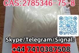 Skype/Telegram/Signal: +44 7410387508 Threema:E9PJ