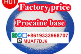  High quality Procaine CAS59–46–1 China factory