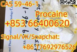 Procaine CAS 59-46-1 with high satisfaction