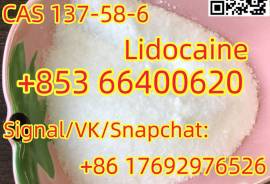 Lidocaine CAS 137-58-6 with good feedbacks