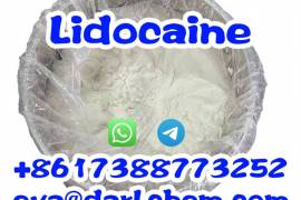 Lidocaine Powder Lidocaine Factory Price CAS 137-5