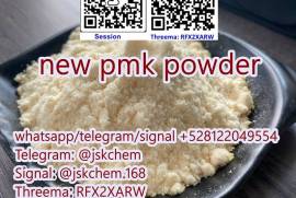 pmk bmk powder replace of cas 28578-16-7 new pmk