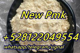 pmk bmk powder replace of cas 28578-16-7 new pmk