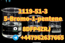  1119-51-3	5-Bromo-1-pentene