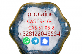 Supply procaine hcl cas 59-46-1 cas 51-05-8 