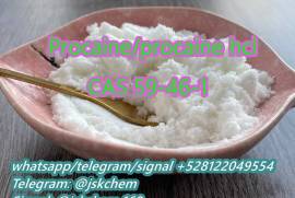 Supply procaine hcl cas 59-46-1 cas 51-05-8 