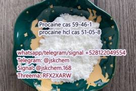 Supply procaine hcl cas 59-46-1 cas 51-05-8 