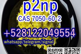 telegram@jskchem P2NP cas 705-60-2 factory