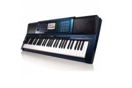 Casio MZ-X500 Arranger Synthesizer – სინთეზატორი 