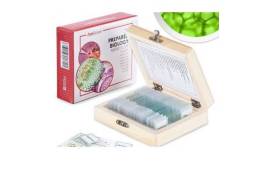 AmScope PS25 Prepared Microscope Slide Set