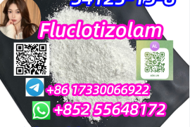 Fluclotizolam 54123-15-8