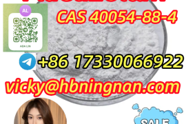 40054-88-4 Fluetizolam Factory supply, support