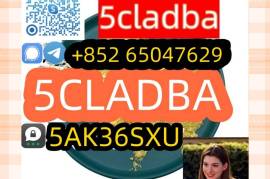 Low Price 5cladba China Supplier