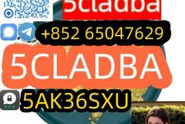 Low Price 5cladba China Supplier