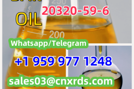 Promotion of high purity BMK CAS:20320-59-6