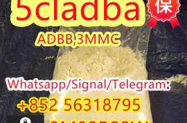 5cladba, high quality supplier 100% purity