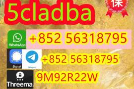 5cladba, high quality supplier 100% purity