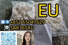 Wholesale Eu Eu Eu In Best Price