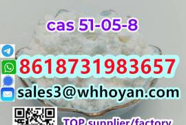 CAS 51-05-8 Procaine Hcl Procaine Hydrochloride 