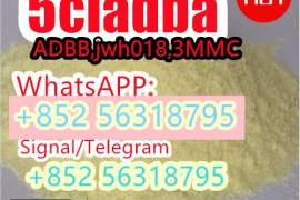 5cladba 5CLadbb 5fadb JWH-018 CAS 2709672-58-0