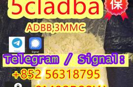 5cladba 2709672-58-0 Hot sale, 99% high purity