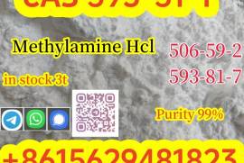 Purity 99% Methylamine hydrochloride CAS 593–51–1 