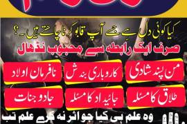 Bengoli baba love Marraige specialist ( online ami