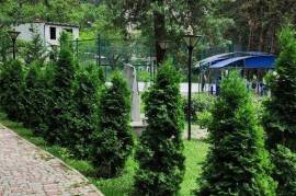 Daily rent, Real Estate, Houses / Cottages