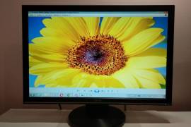 19-inch LCD Monitor ASUS