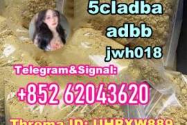 5Cladba ADBB 5cladba buy 6cl adbb powder 5cl ADBB 