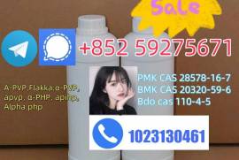 Strong Noids ADBB, 5cladba