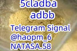5cl-adb 5cladba 5cl 5cladba adbb precursors 5cl-ad