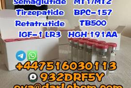 Factory BPC-157 fitnesspowder raw material 137525-