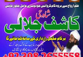Professional amil baba sialkot , Manpasand shadi ,