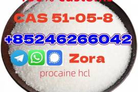 CAS RN | 51-05-8 | Procaine Hydrochloride