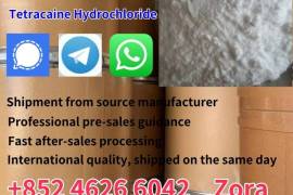 Supply Tetracaine HCl CAS 136-47-0 