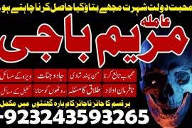 GET UR EX BACK -{amil baba kala jadu krne wale}top