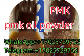 CAS 28578-16-7 PMK oil PMK powder