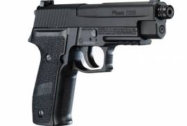 SIG Sauer P226 ხრახნლულიანი, ტირის ტყვიებზე